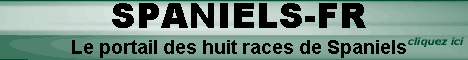 SPANIELS-FR LE PORTAIL DES HUIT RACES DE SPANIELS 