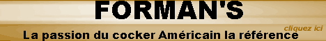 FORMAN'S ELEVEUR DE COCKER AMERICAIN